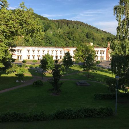 Apartman Stare Casy Svoboda nad Úpou 외부 사진